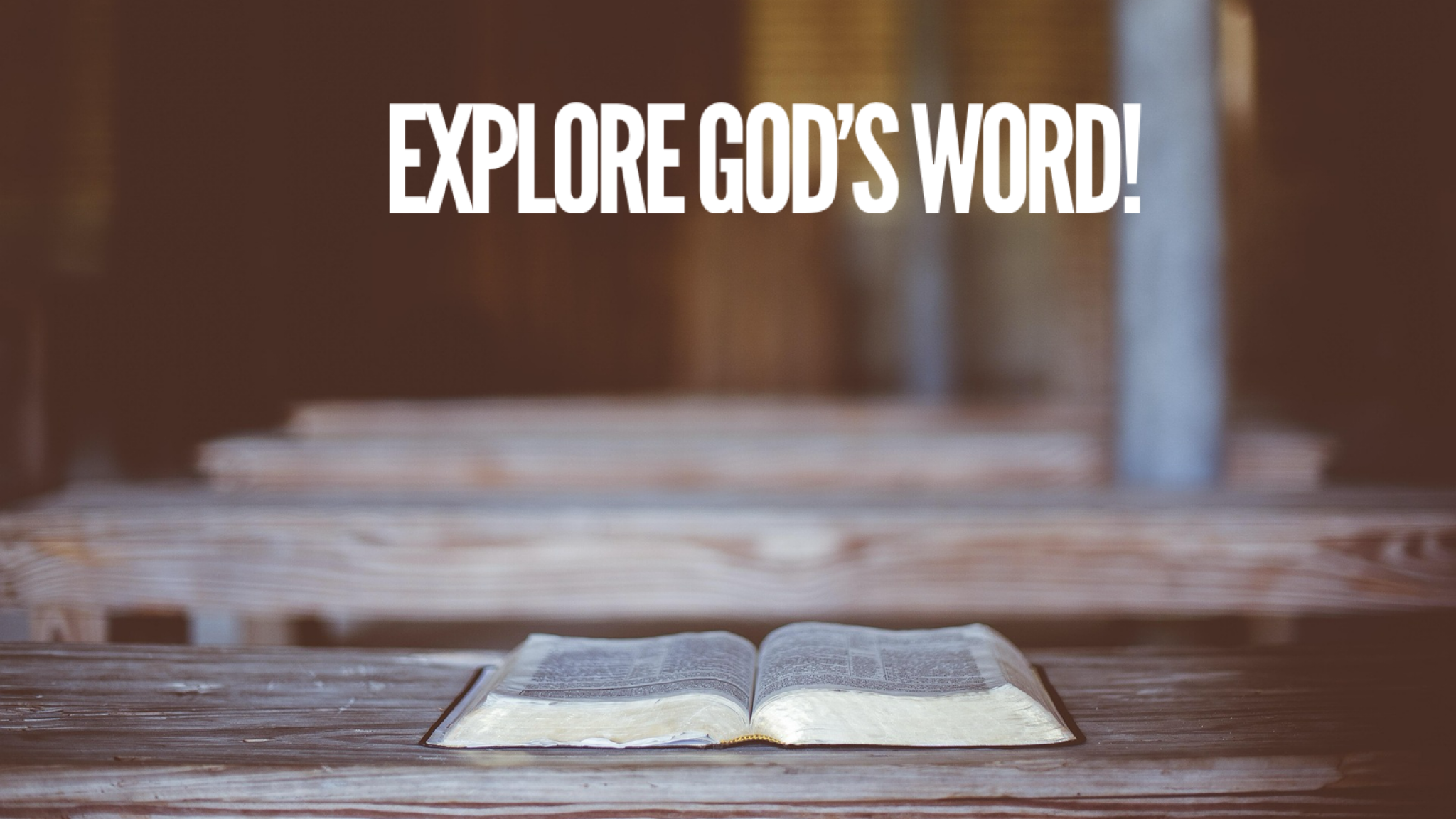 Bible Study
